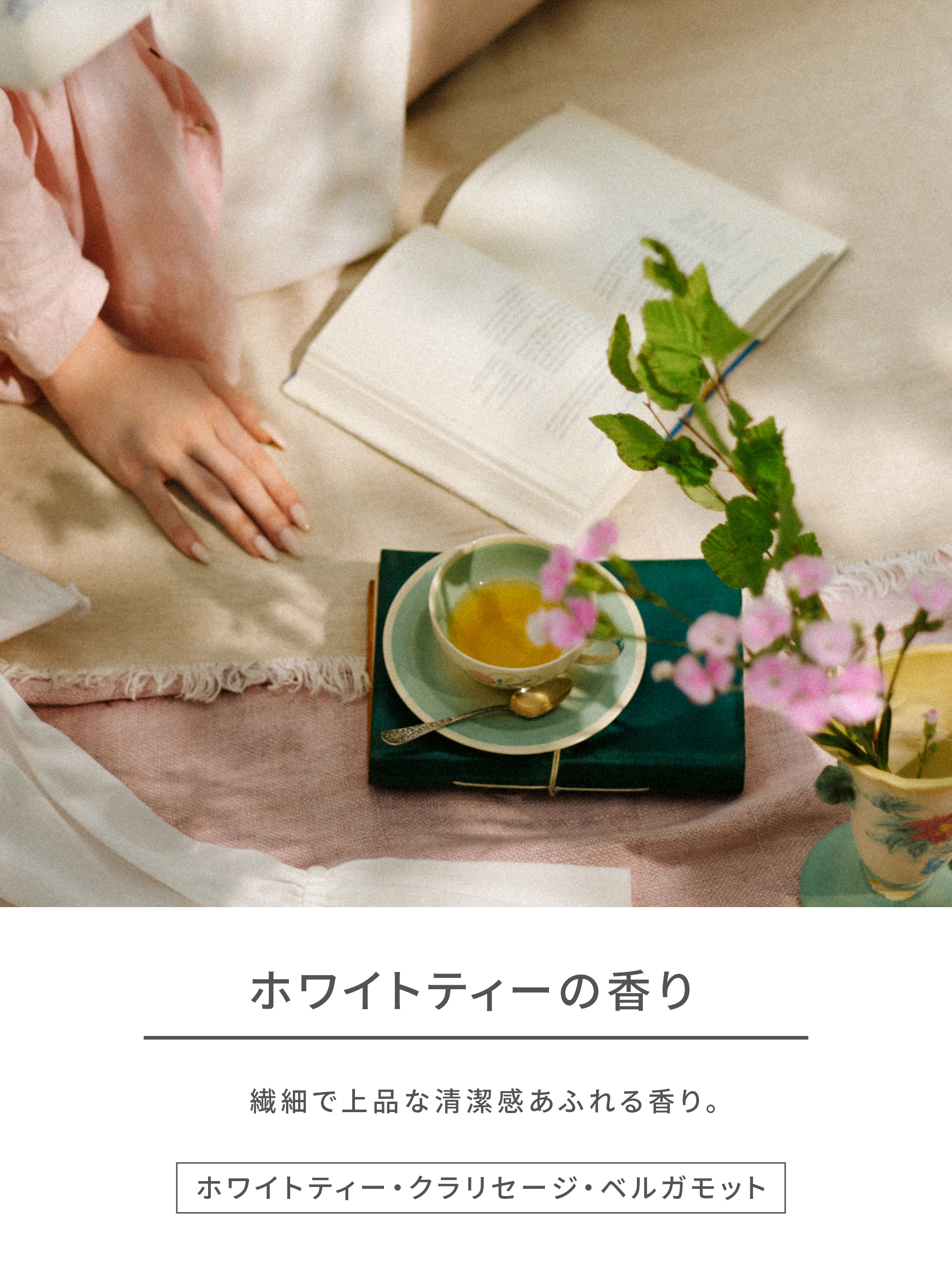ネイチャーラボYahoo公式 