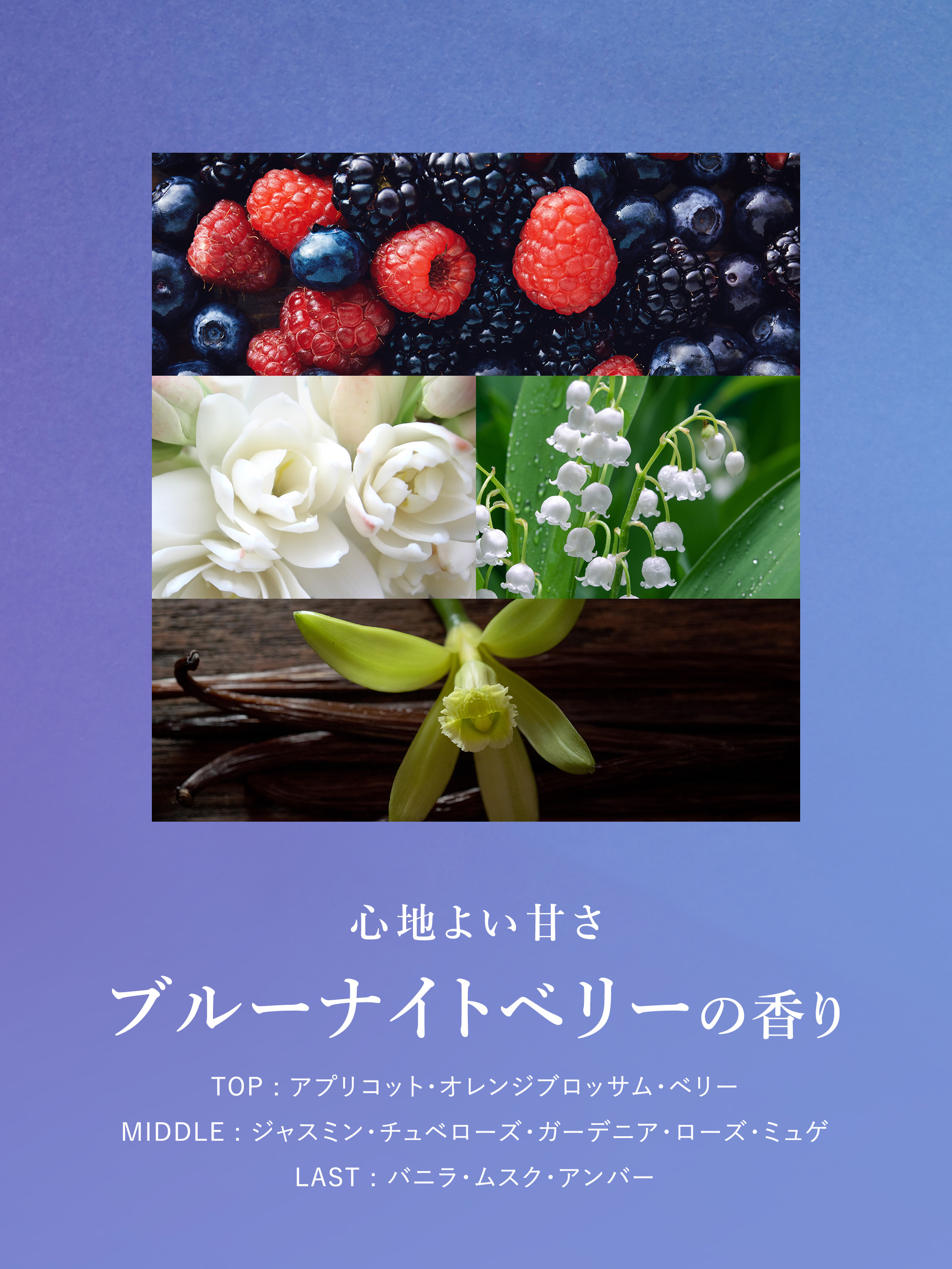 モイストダイアン 【トム＆ジェリー コラボ】ダイアン