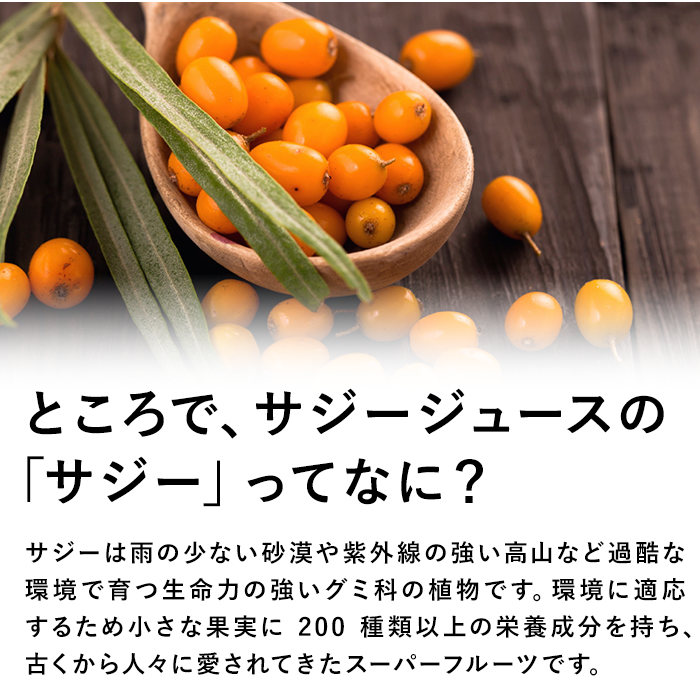 サジージュース キュリラ マイルド味 3本セット（900ml 30日分×3本）オーガニック 5％果糖入りでそのままでおいしいマイルド味｜naturetree｜06