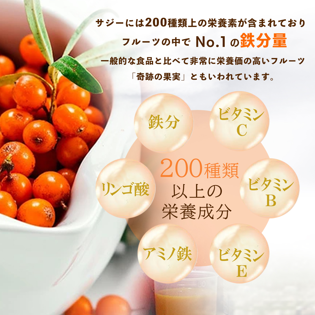 有機サジージュース サジーベリー バンカンサン...の詳細画像4