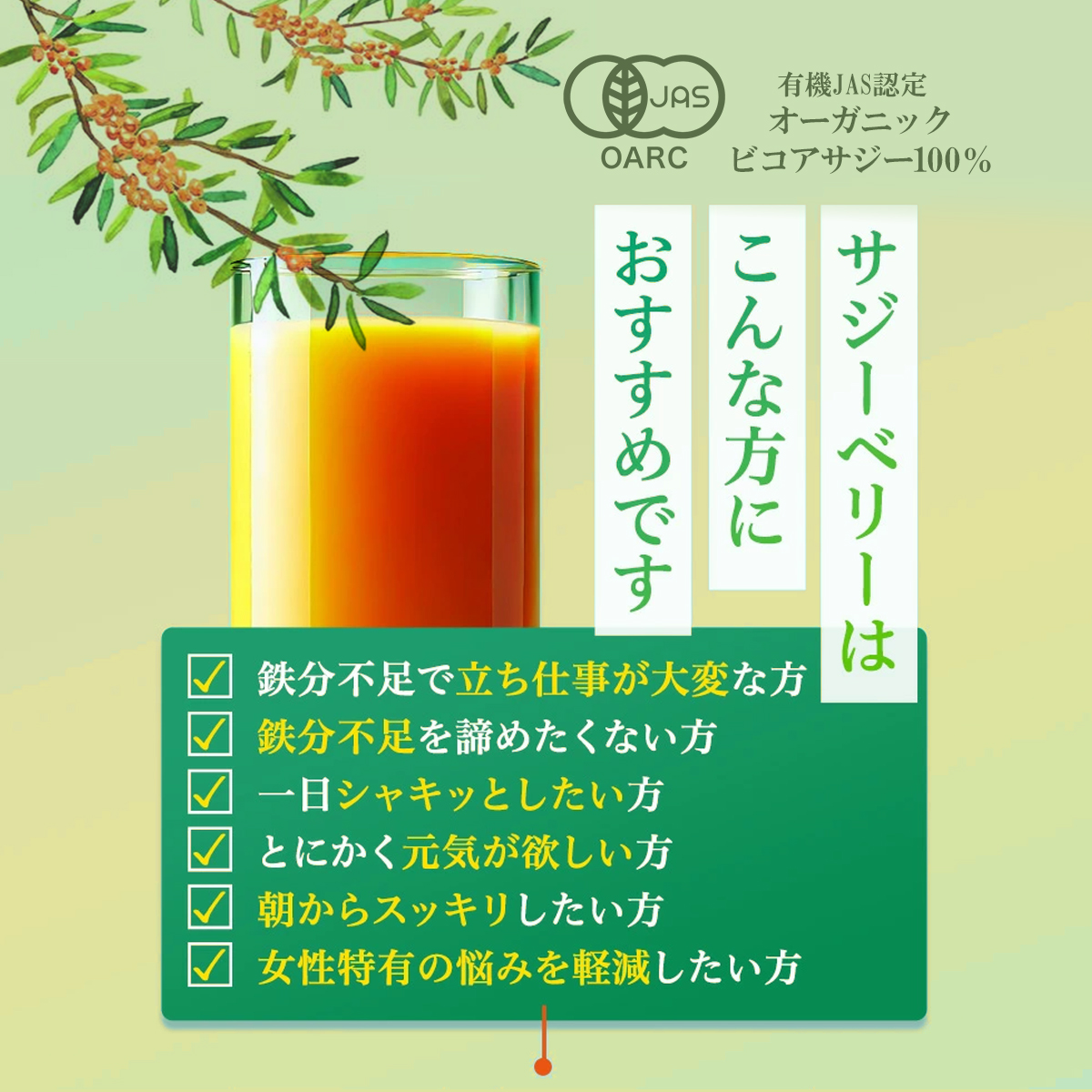 有機サジージュース サジーベリー バンカンサン...の詳細画像1