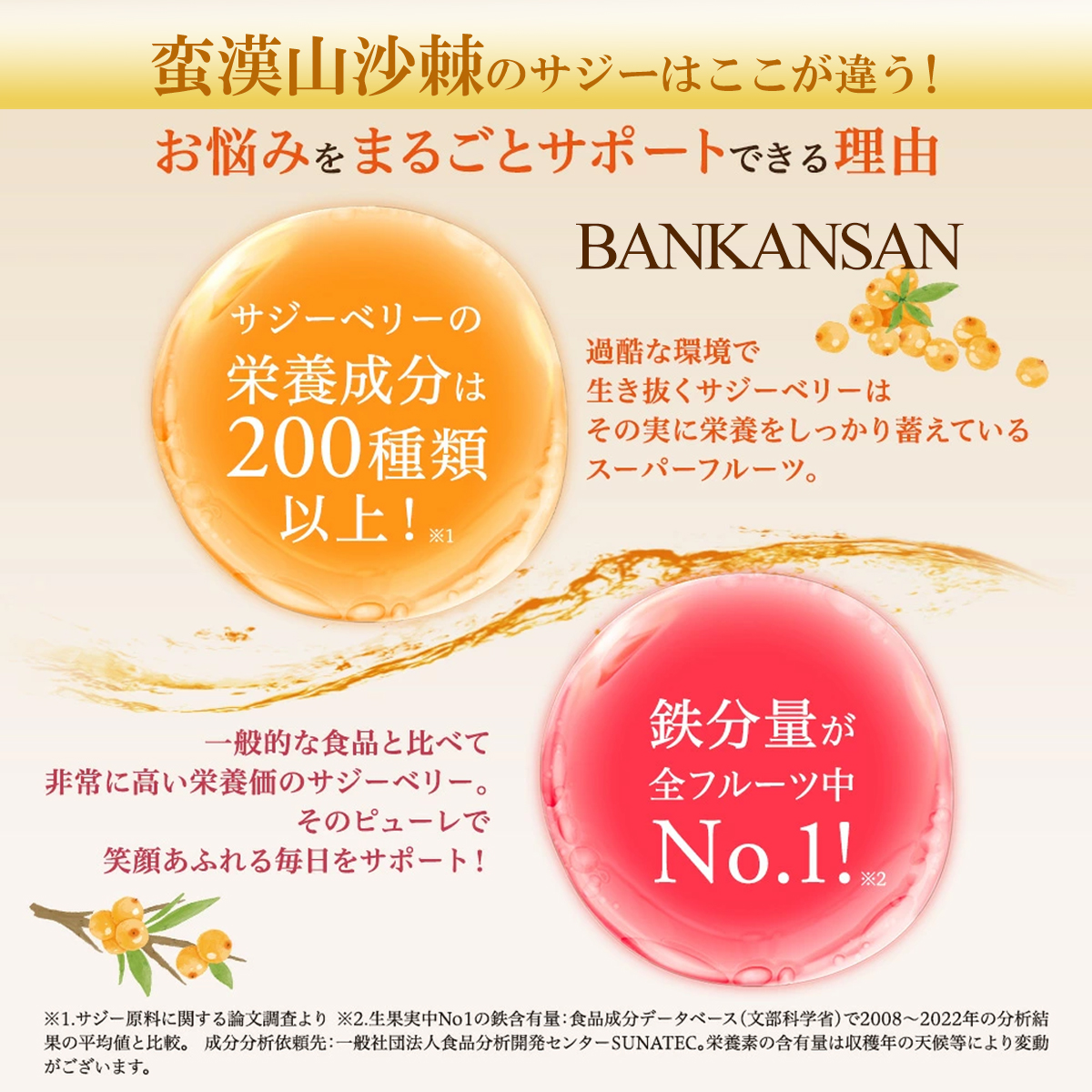 有機サジージュース サジーベリー バンカンサン...の詳細画像2