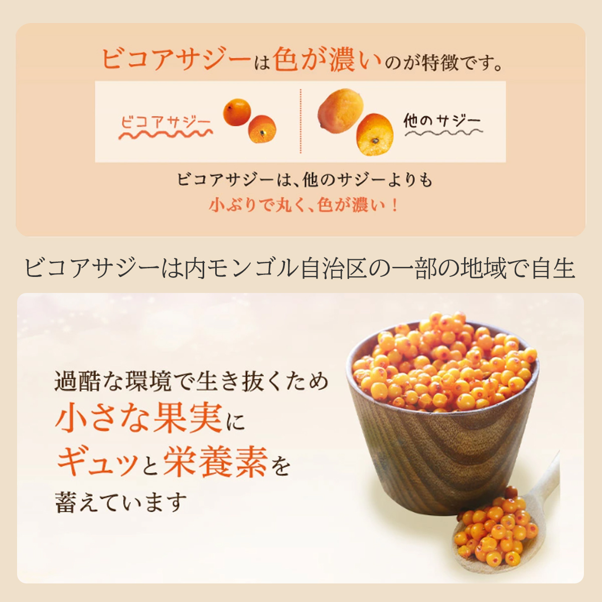 有機サジージュース サジーベリー バンカンサン...の詳細画像5