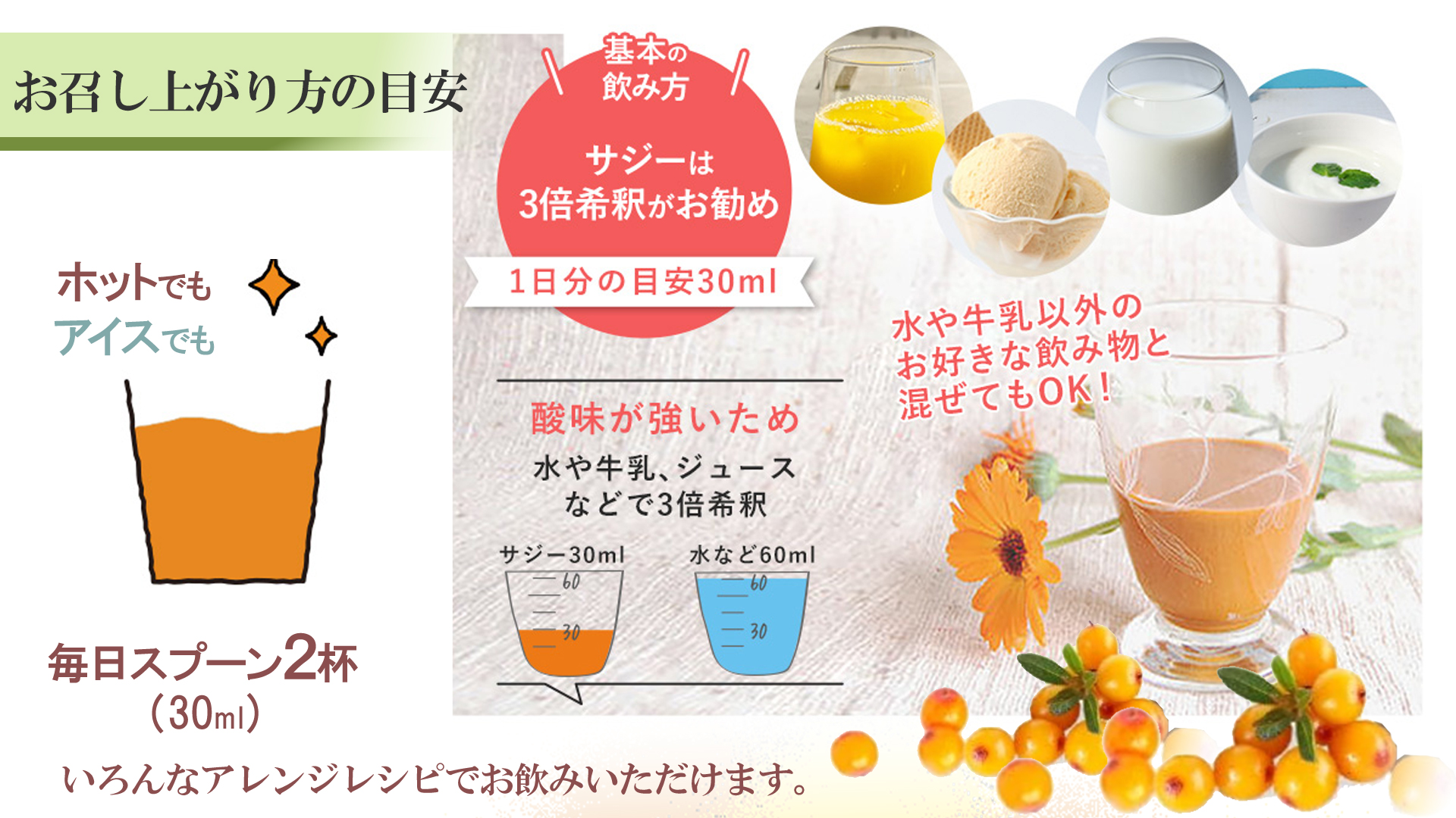 サジー サジージュース 有機サジー 蛮漢山沙棘 バンサンカンサジー