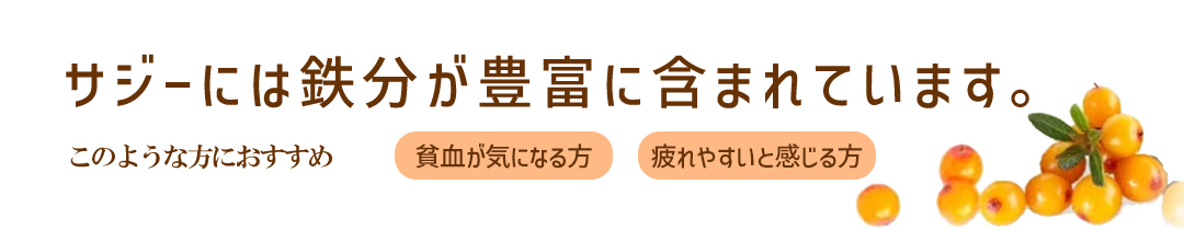 サジー サジージュース 有機サジー 蛮漢山沙棘 バンサンカンサジー