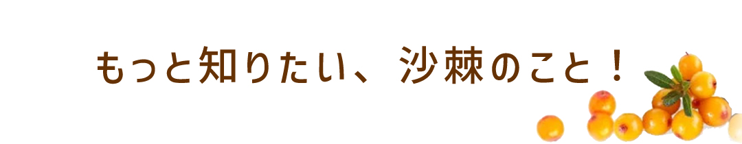 サジー サジージュース 有機サジー 蛮漢山沙棘 バンサンカンサジー