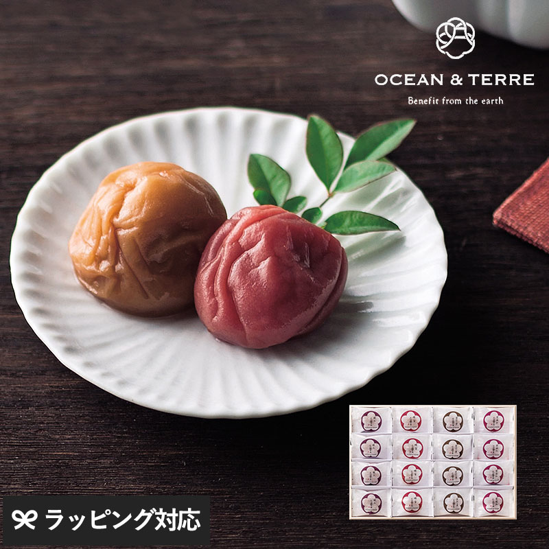 ギフト プレゼント おしゃれ 甘いもの以外 贈り物 梅干し 親戚 上司 OCEAN ＆ TERRE Premium 紀州南高梅 16粒 木箱入り :  nr-03031 : natu&robe - 通販 - Yahoo!ショッピング