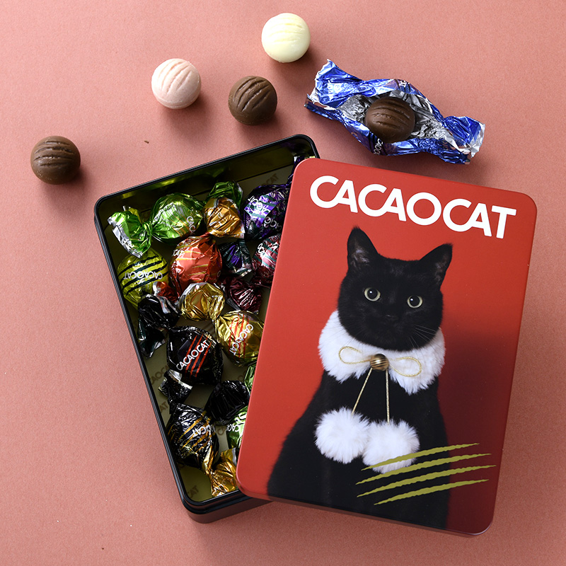 CATWAE・ネコボン（キャワイーネコボン） 40枚セット CACAOCAT（カカオキャット） 5点セット DADACA チョコレート CACAOCAT