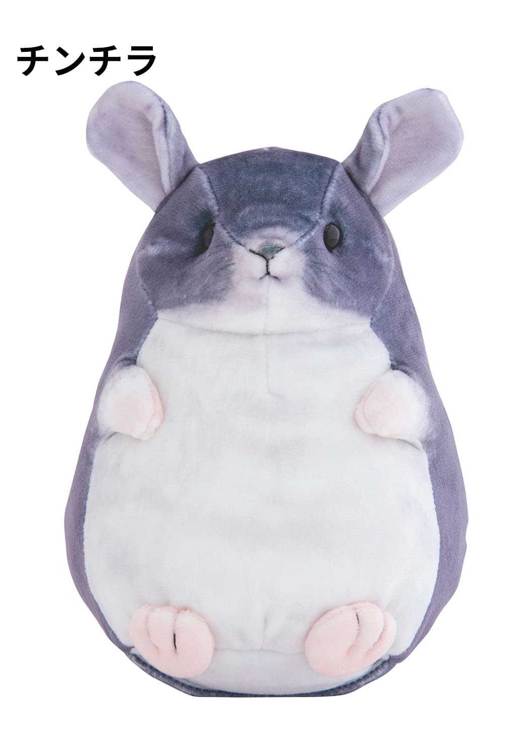 plusnao_pet-29233