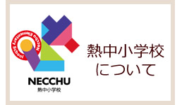 熱中小学校とは