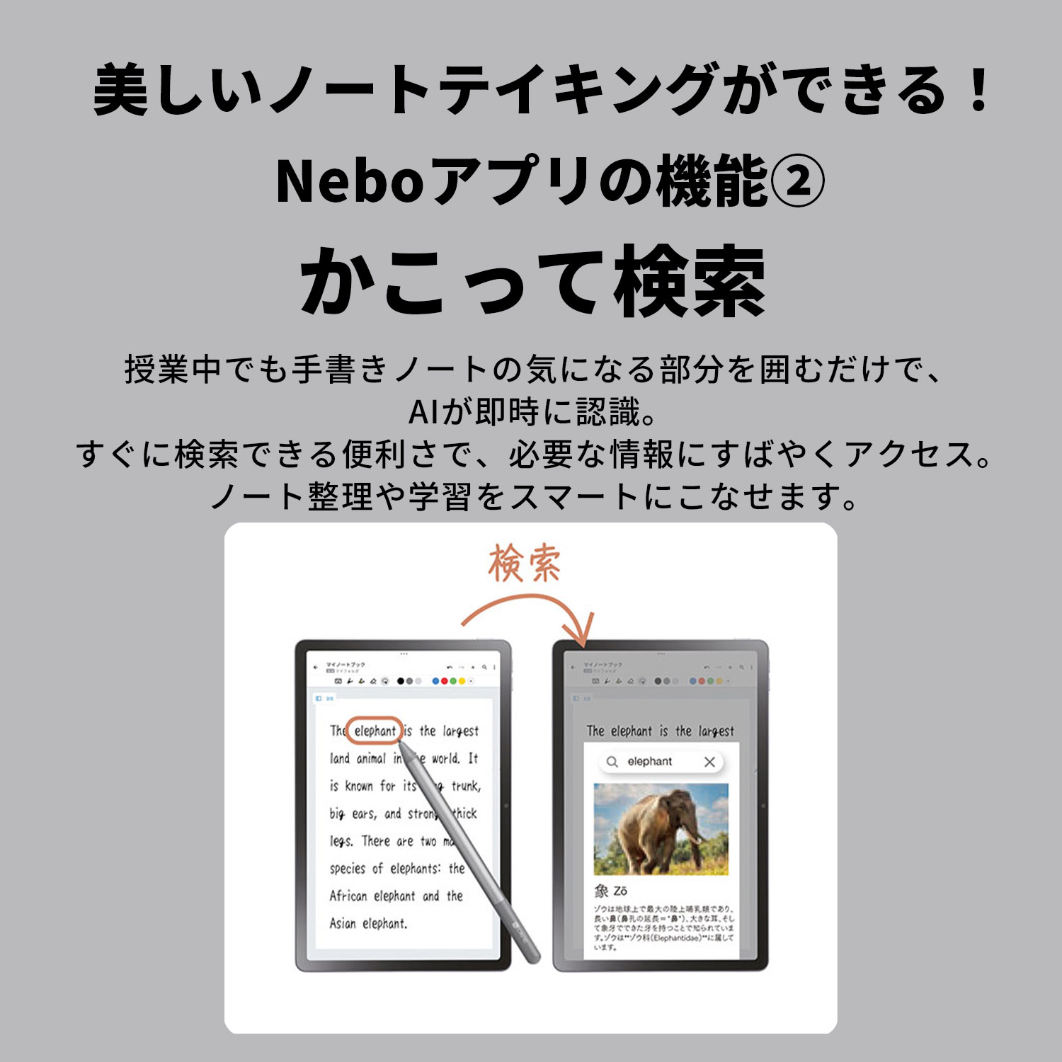 NEC 【公式】 NEC LAVIE 日本 メーカー タブレット Android 15 Media