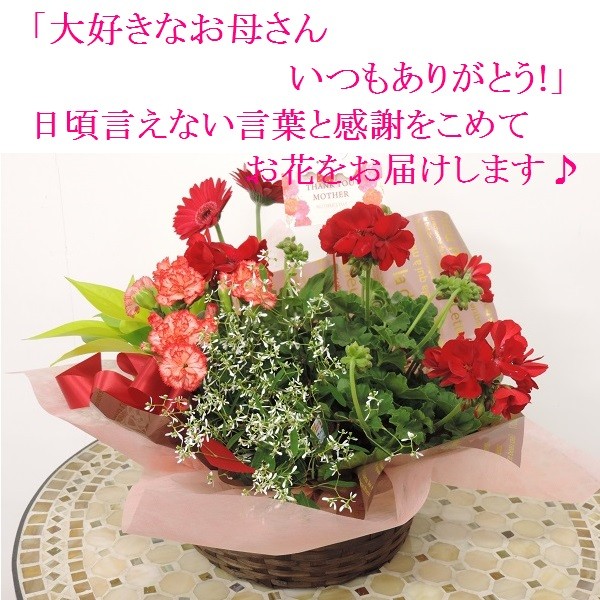 母の日 限定 カーネーション 季節の花 春 寄せ鉢 人気 おまかせ アレンジ ギフト 鉢花 鉢植え 寄せ植え バスケット プレゼント A0061 花 ル パルテール Yahoo ショップ 通販 Yahoo ショッピング