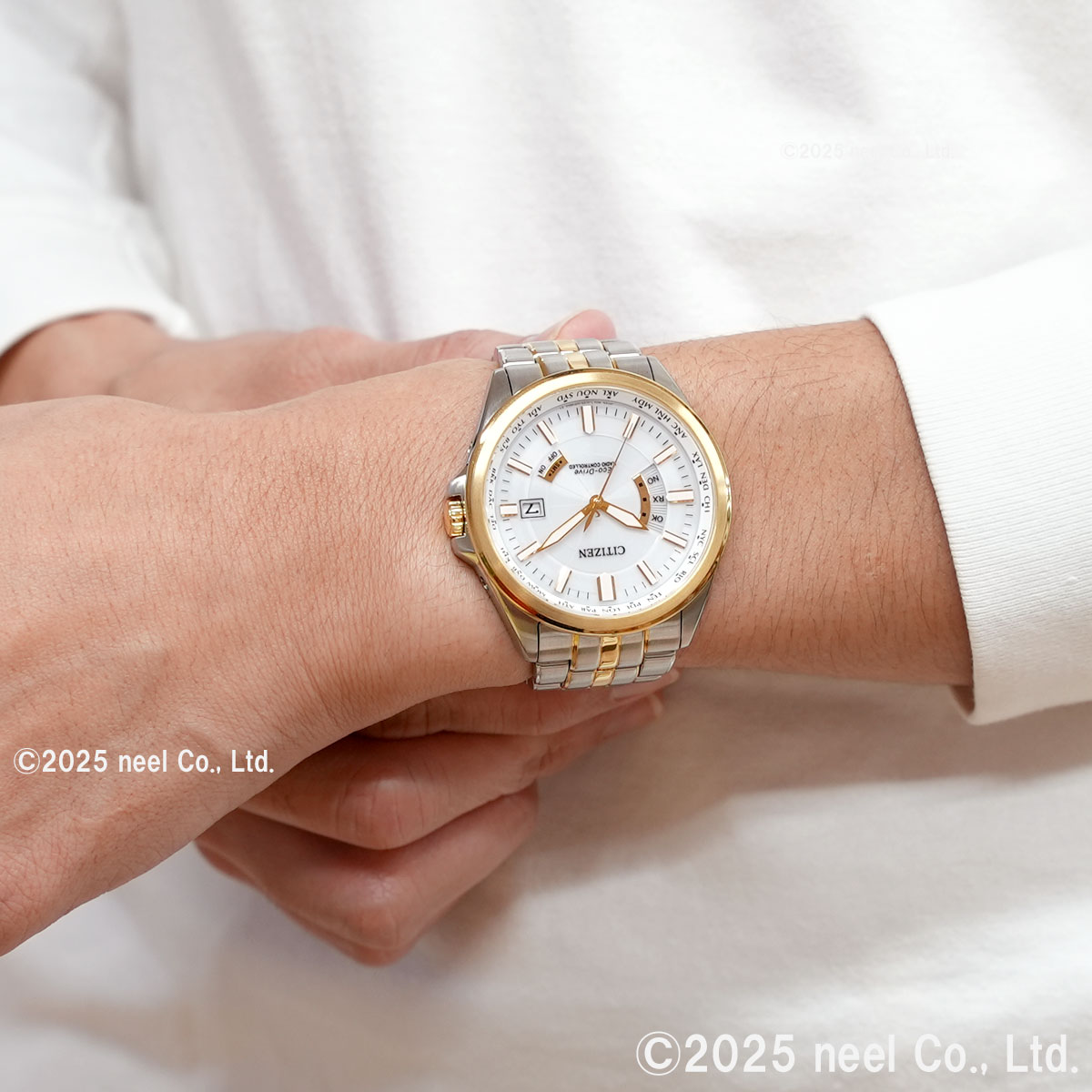 CITIZEN COLLECTION （豪華おまけ有） シチズンコレクション エコ