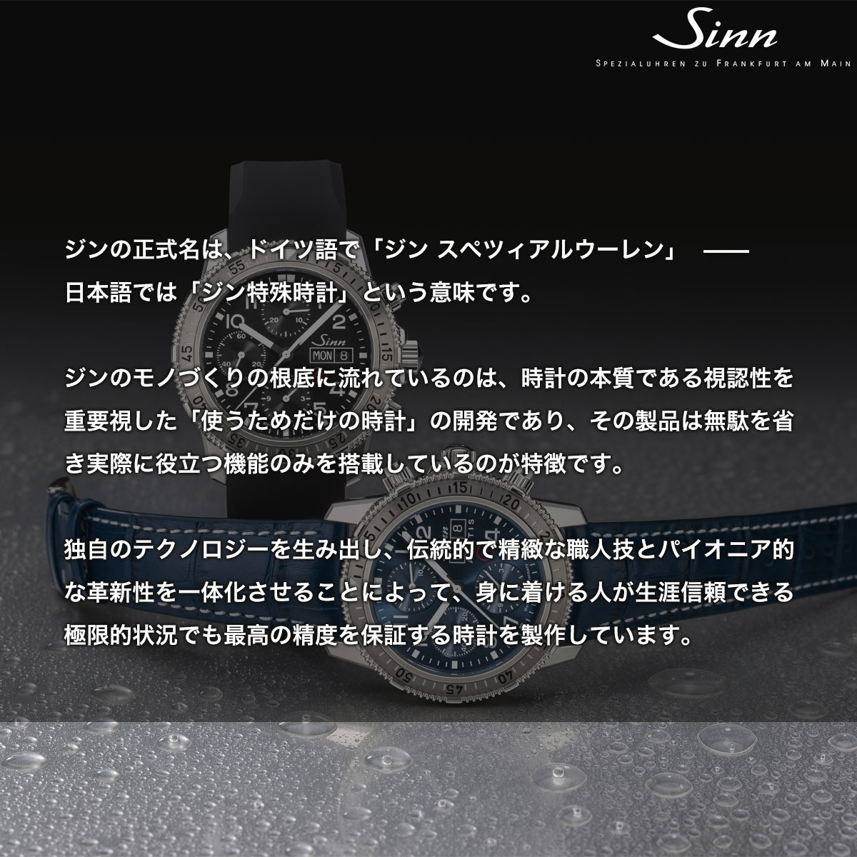 Sinn（ジン） （8月末でYahoo販売終了）（ノベルティー付き）Sinn 556