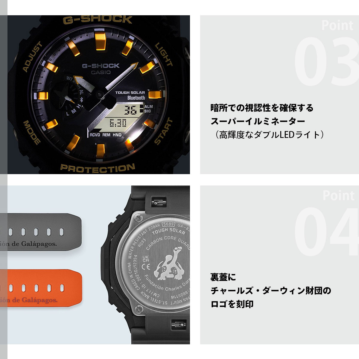 G-SHOCK Gショック ソーラー Charles Darwin Foundation コラボ 限定