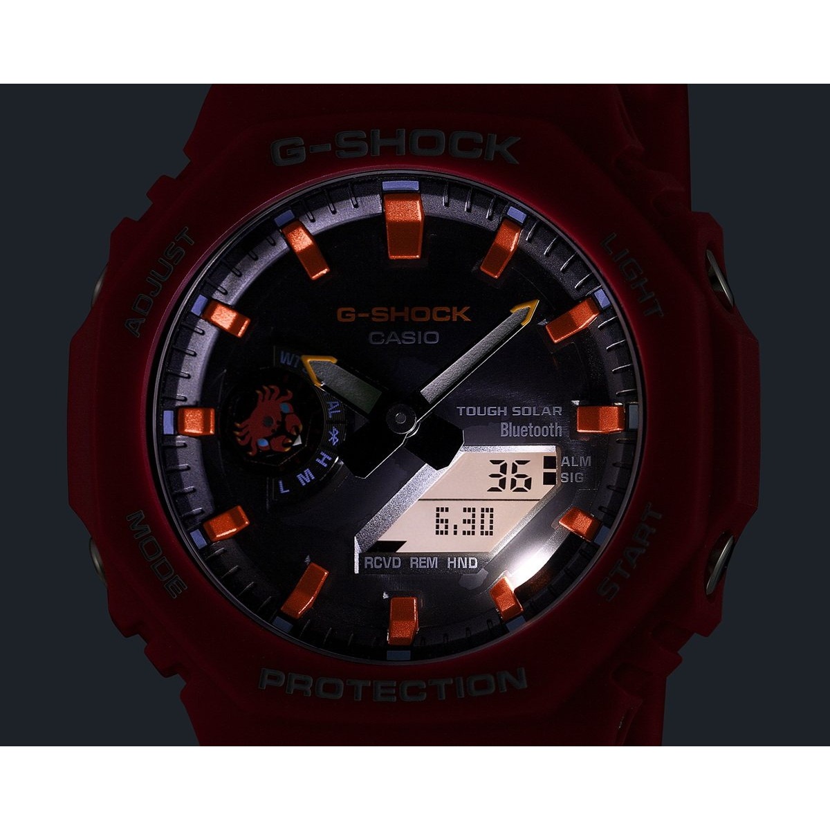 G-SHOCK Gショック ソーラー Charles Darwin Foundation コラボ 限定