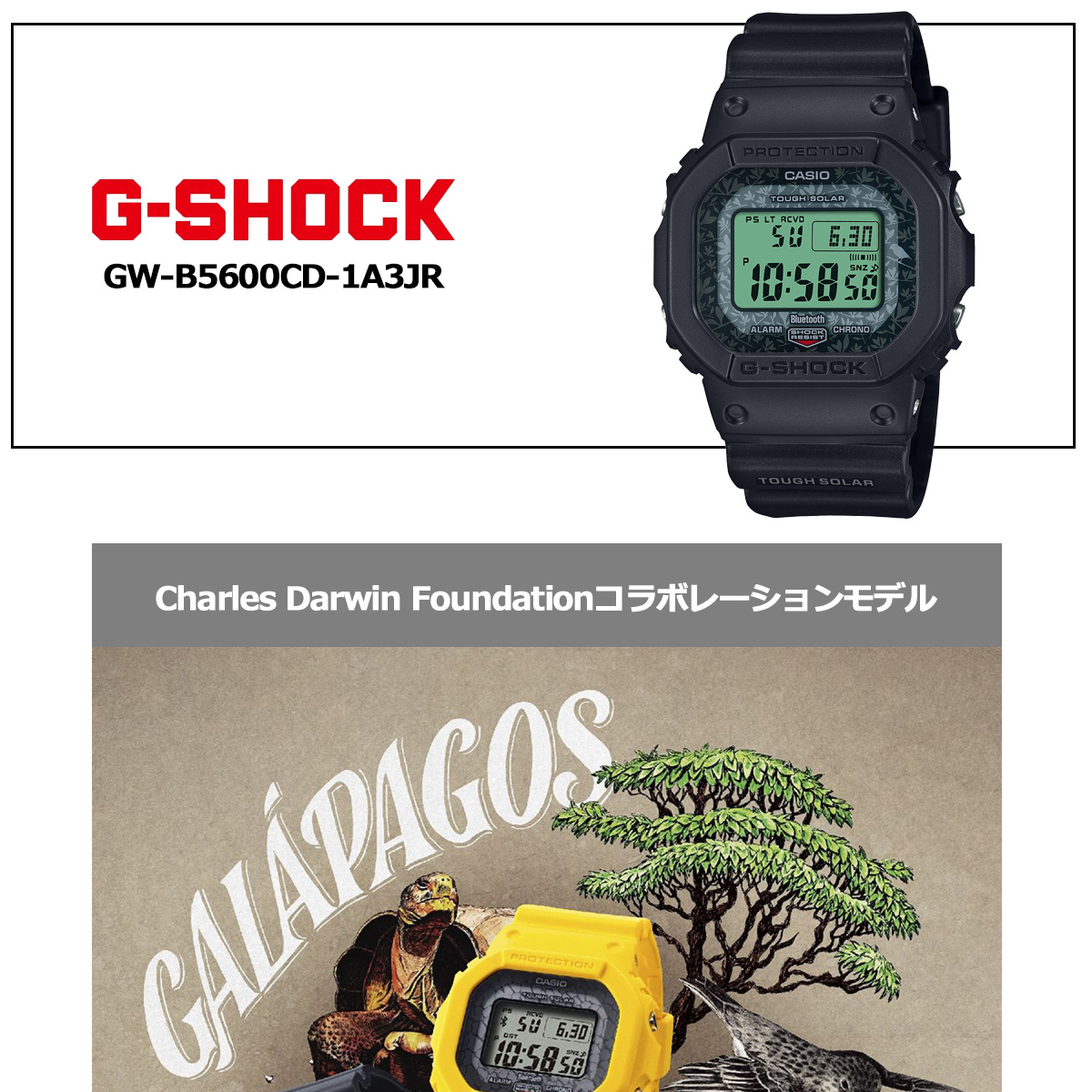 Gショック 電波ソーラー G-SHOCK 腕時計 GW-B5600CD-1A3JR チャールズ・ダーウィン財団コラボ ジーショック : gw- b5600cd-1a3jr : 腕時計のニールセレクトショップ - 通販 - Yahoo!ショッピング