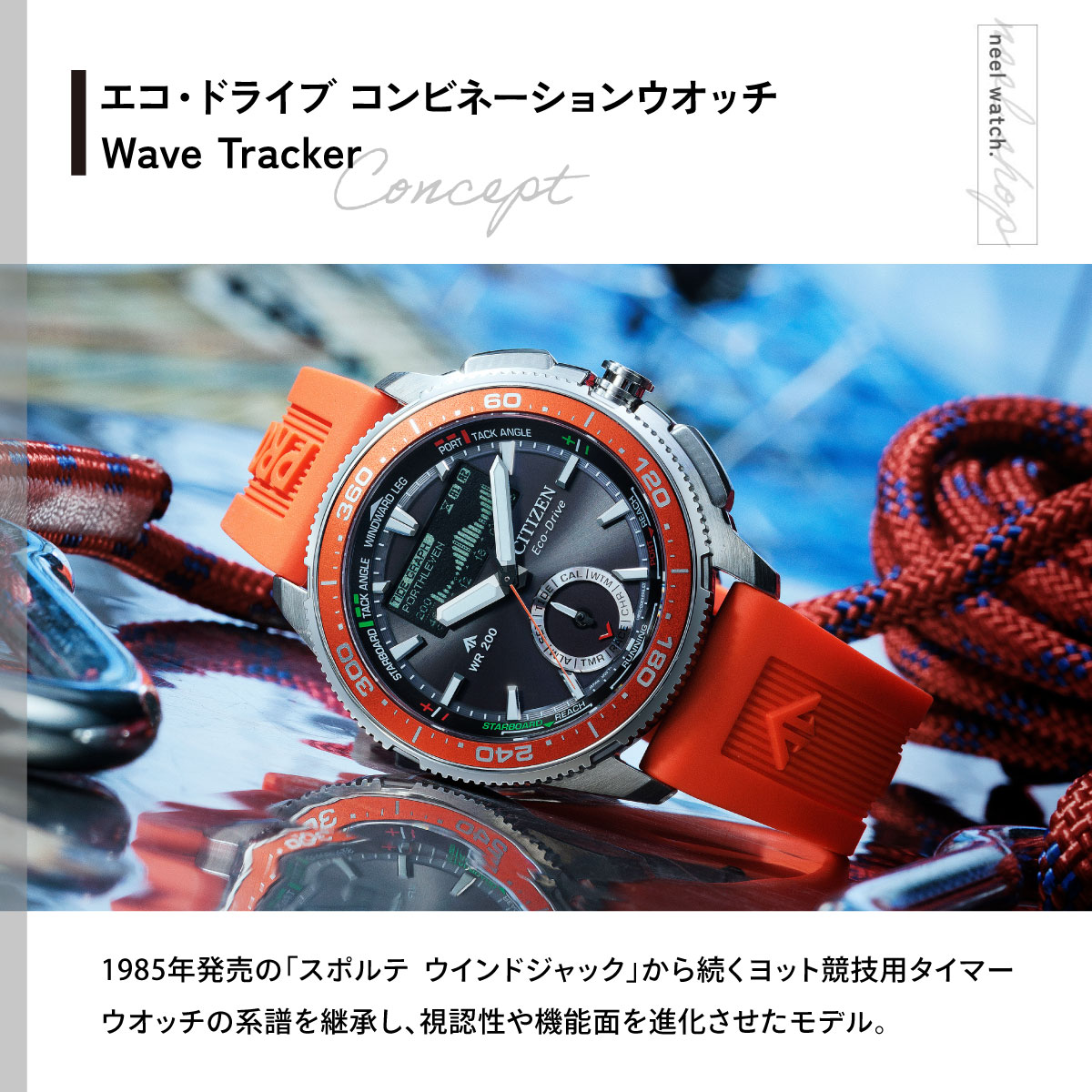 PROMASTER （豪華おまけ有） シチズン プロマスター マリン エコ