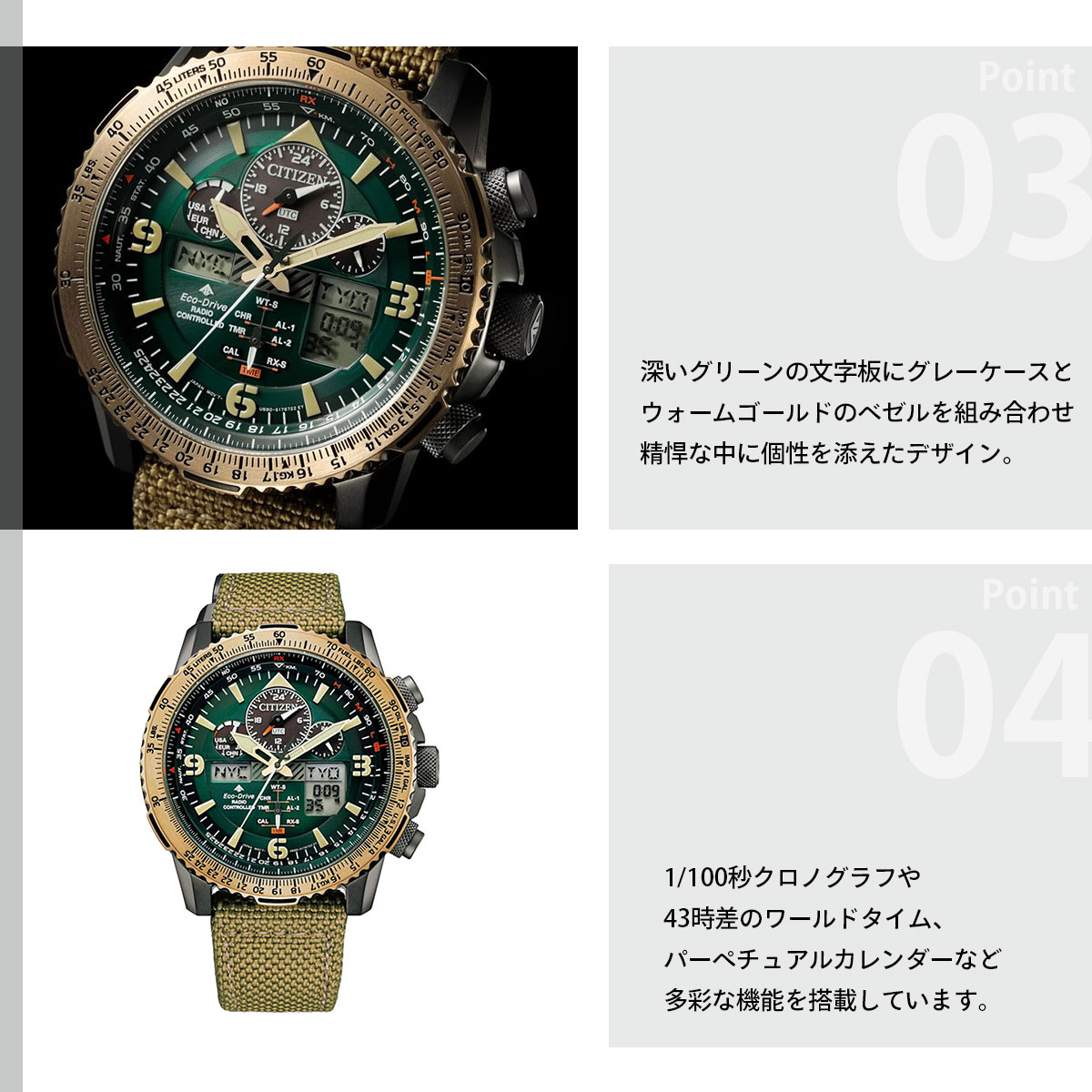 PROMASTER （豪華おまけ有） シチズン プロマスター スカイ エコ