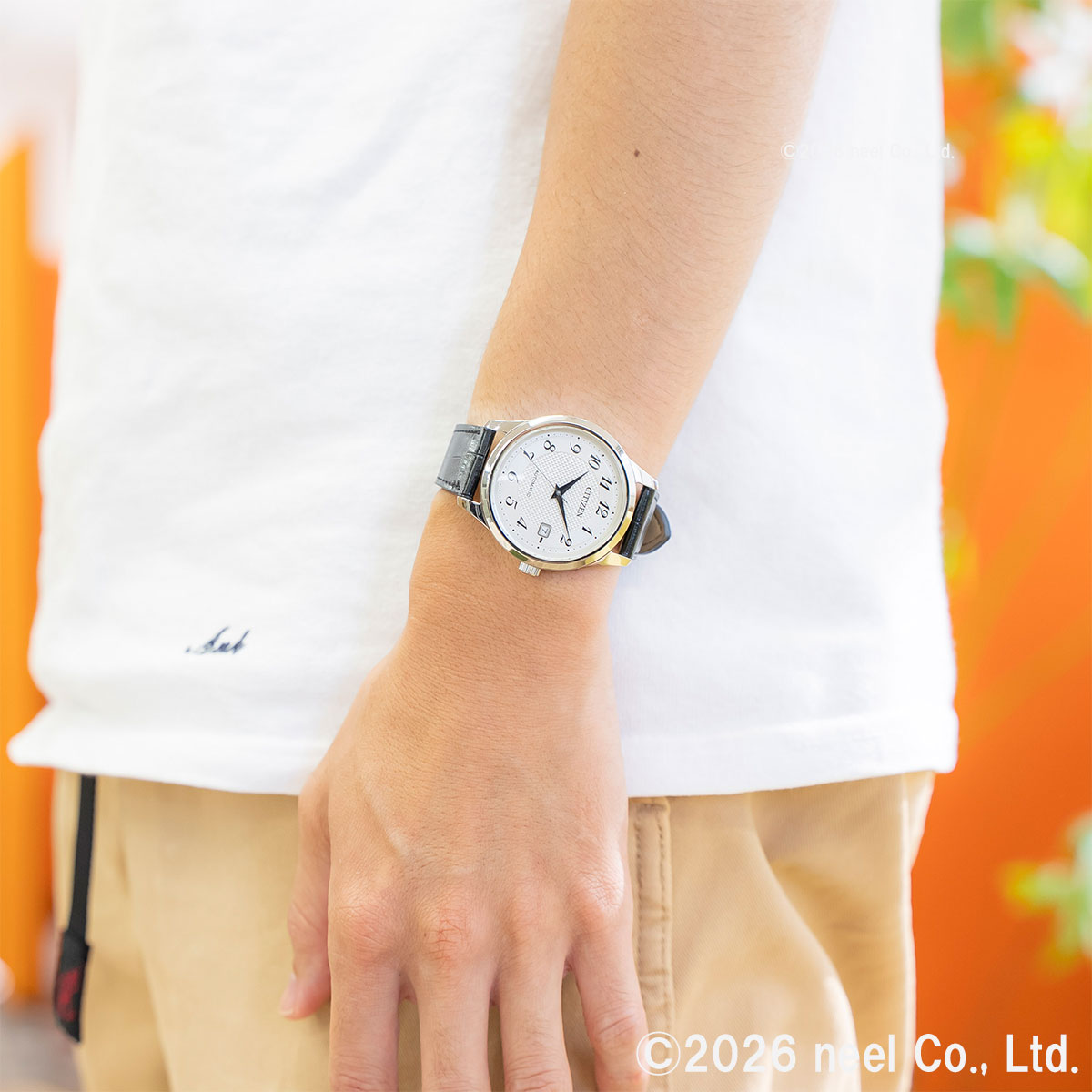 CITIZEN COLLECTION （豪華おまけ有） シチズンコレクション