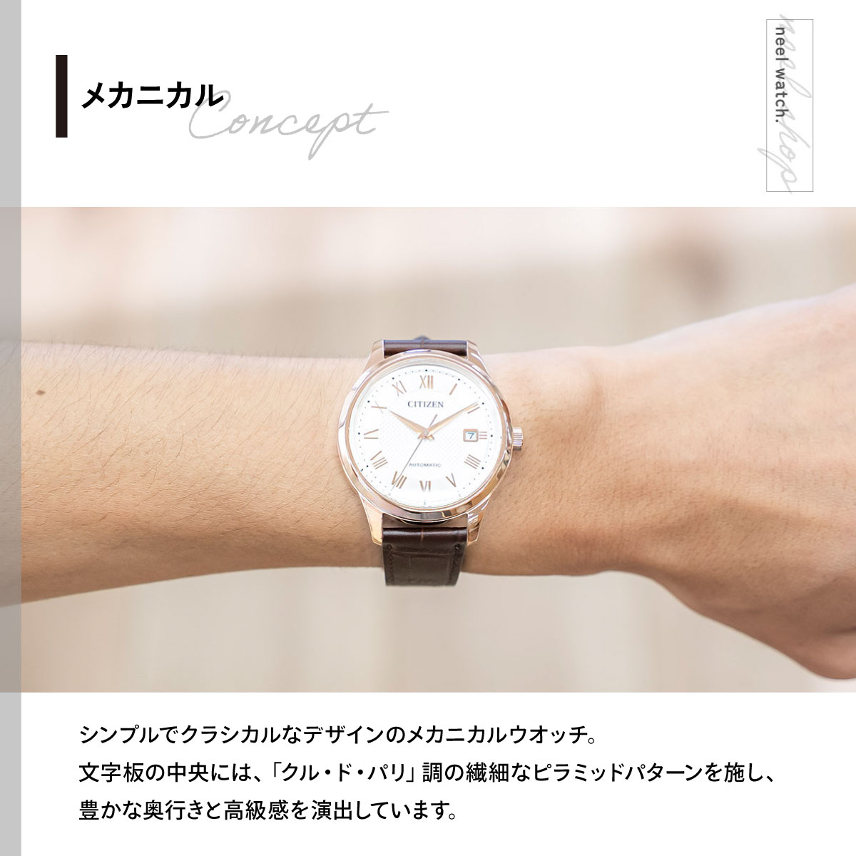 CITIZEN COLLECTION （豪華おまけ有） シチズンコレクション
