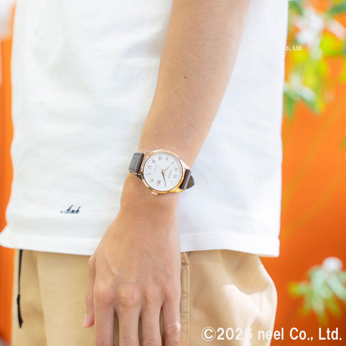CITIZEN COLLECTION （豪華おまけ有） シチズンコレクション