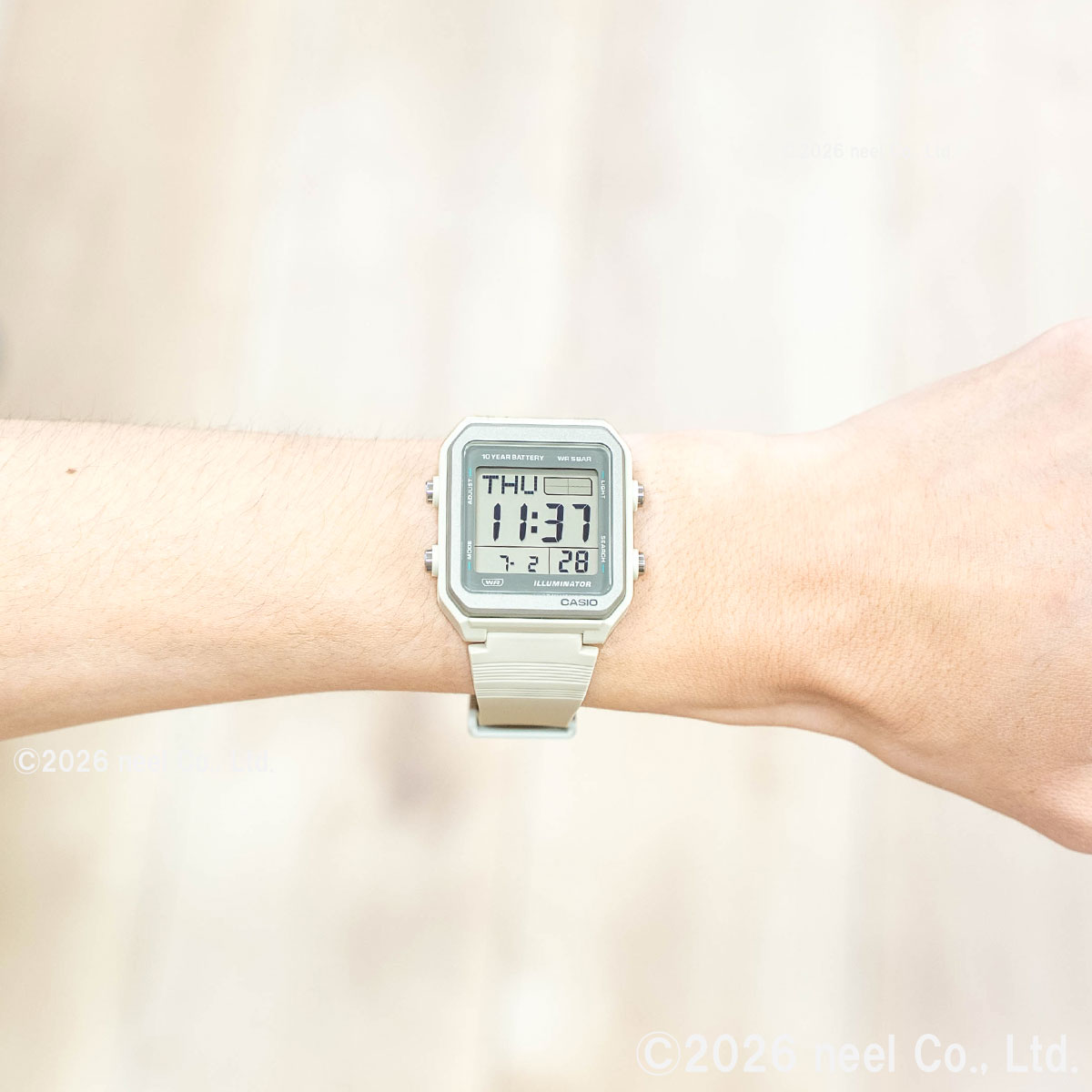 スタンダード（CASIO） カシオ コレクション CASIO Collection
