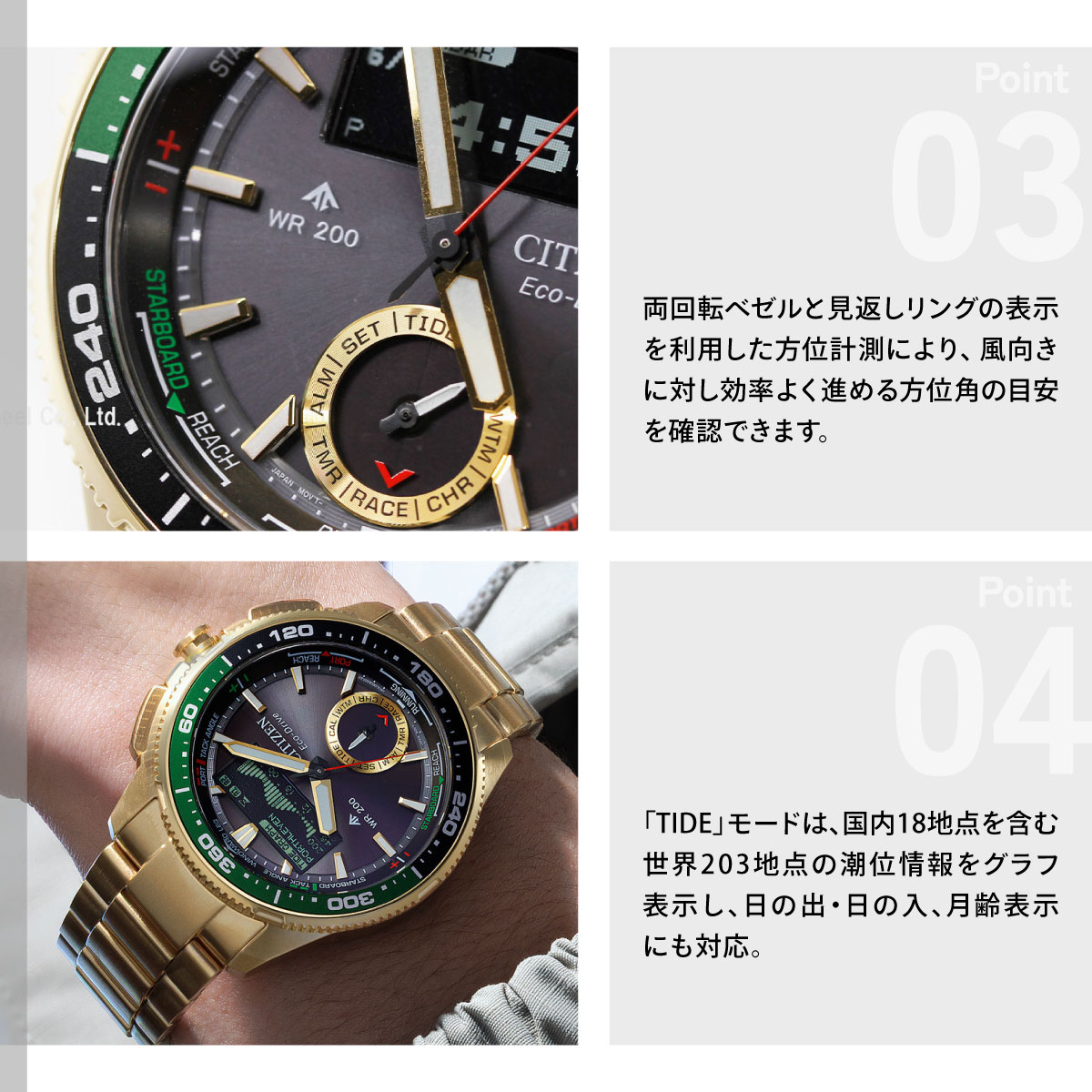 PROMASTER （豪華おまけ有） シチズン プロマスター マリン エコ