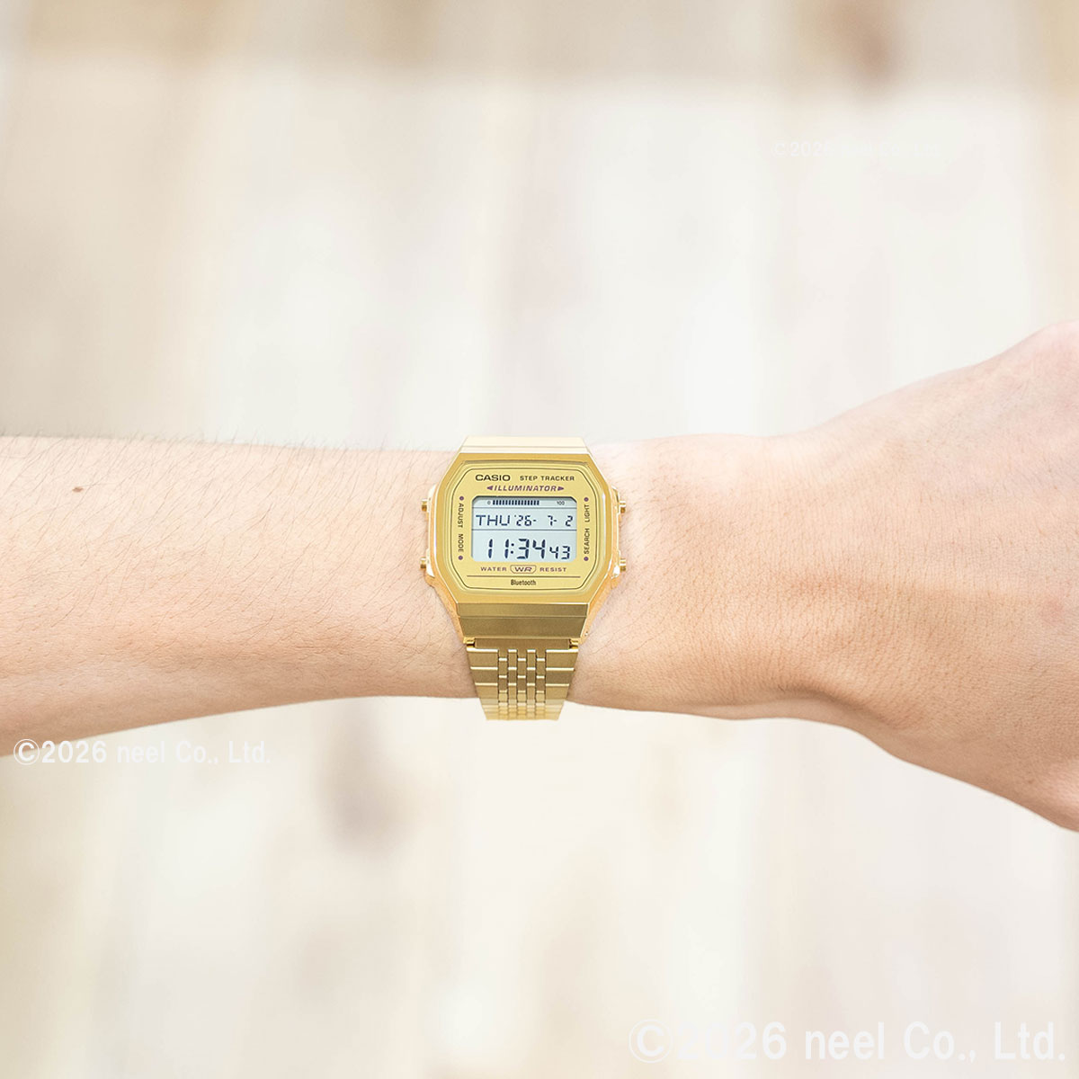 スタンダード（CASIO） カシオ コレクション CASIO Collection