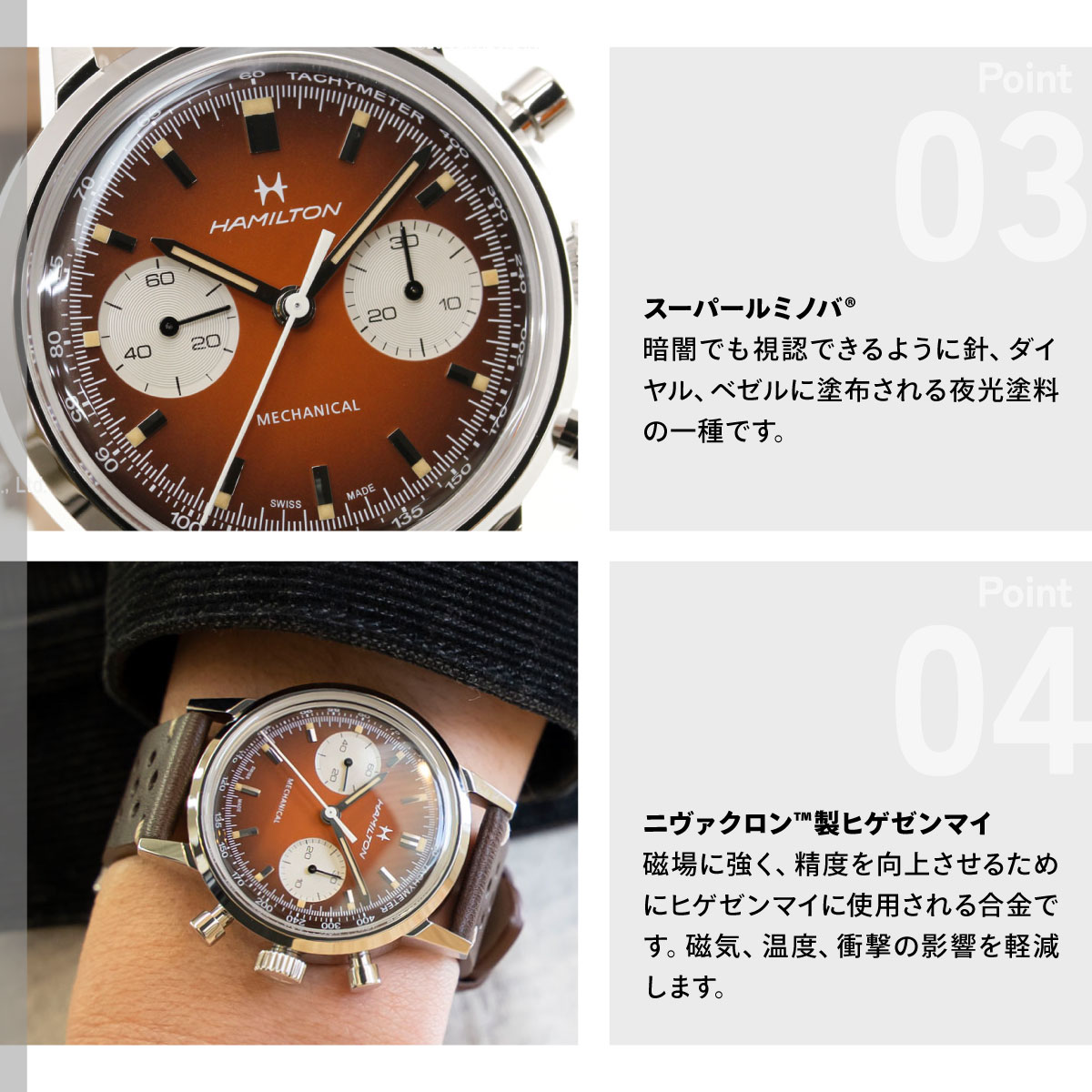 AMERICAN CLASSIC （7月から値上）（ノベルティー付き）ハミルトン