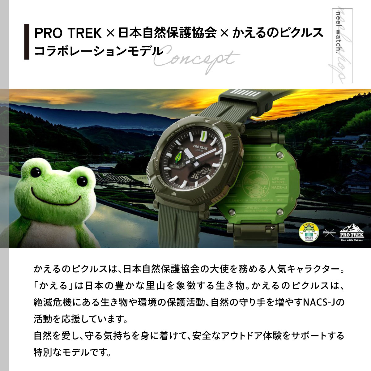 PRO TREK プロトレック ソーラー 時計 PRJ-B001NJ-3JR カシオ 日本自然