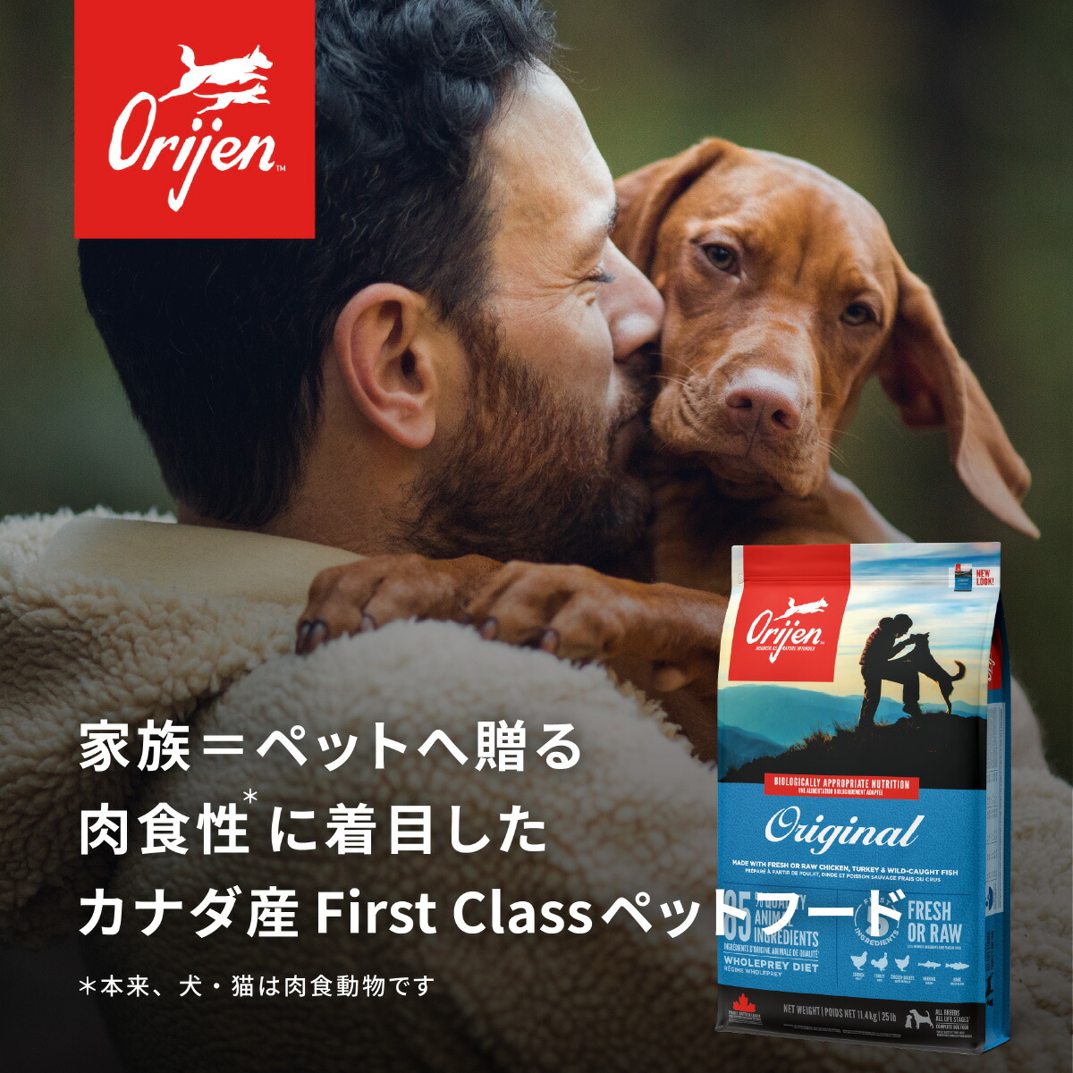 Ry S　【未開封】オリジン　シニア　11.4kg2袋セット ORIJEN（オリジン） ドッグフード シニア 全犬種 シニア犬用 穀物不