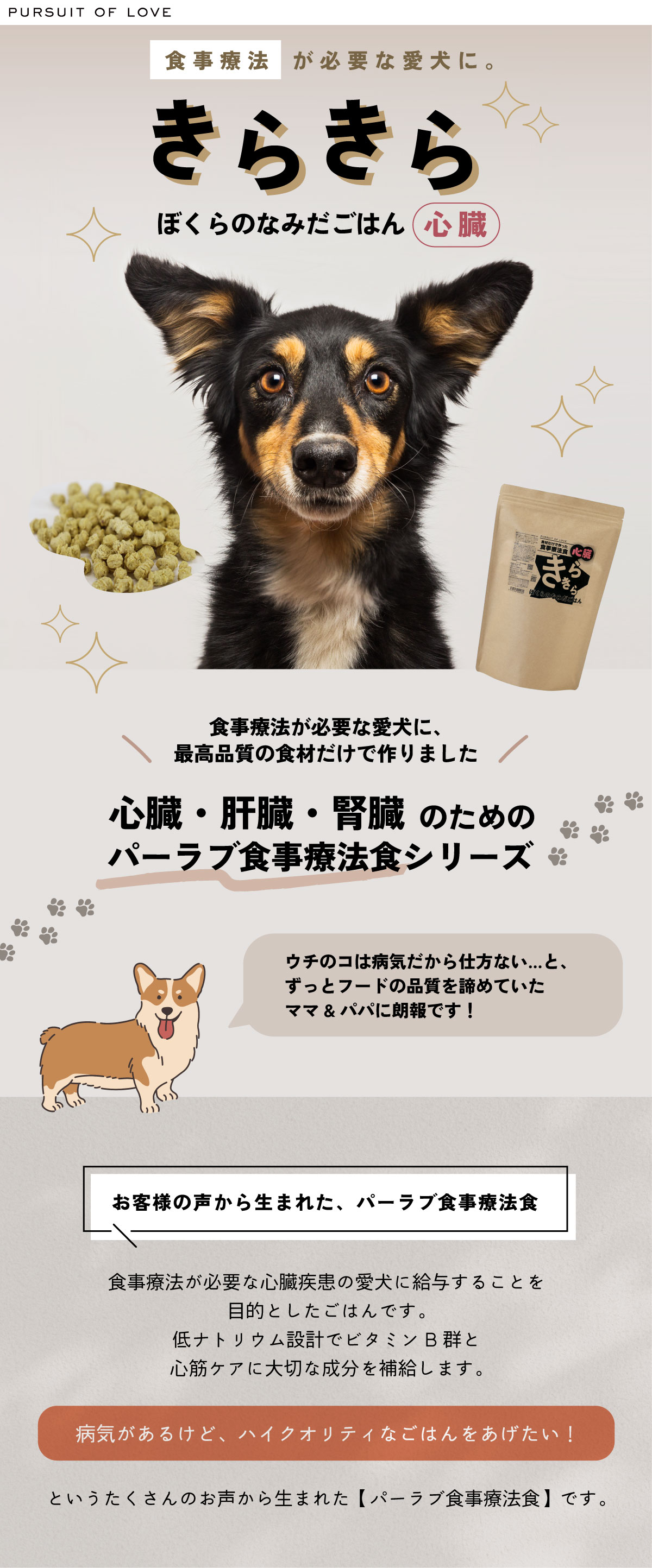 きらきらぼくらのなみだごはん　（心臓） きらきら ぼくらのなみだごはん〜食事療法食・心臓〜｜わん子ん