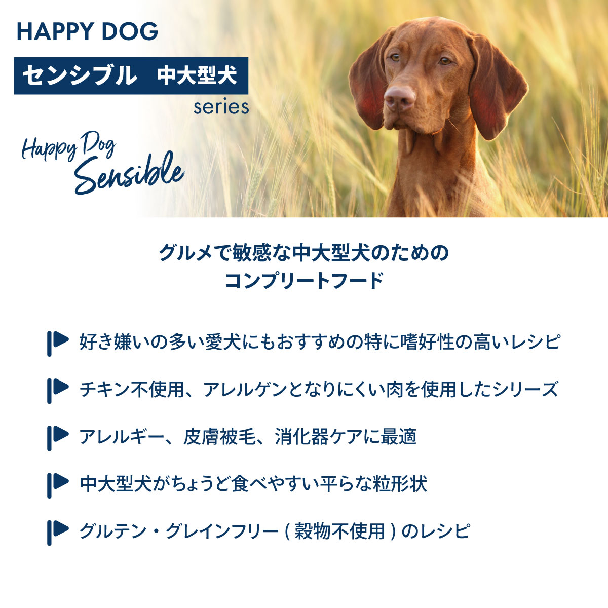 HAPPY DOG ハッピードッグ ドッグフード センシブル モンタナ馬肉