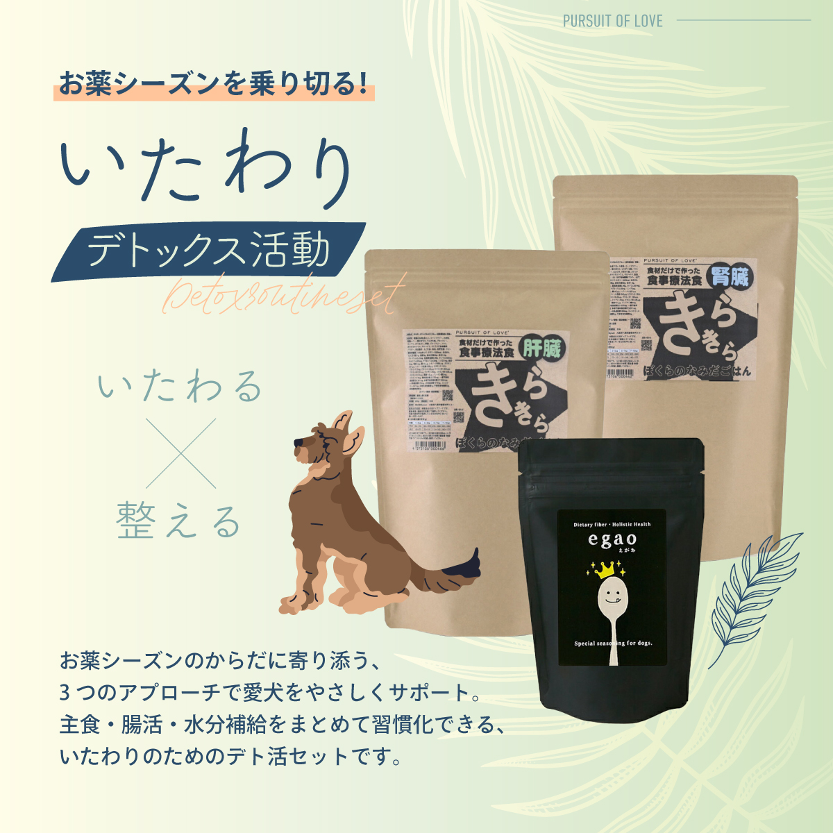 倍々+5倍！最大ポイント26倍！本日限定！（ノベルティー付き