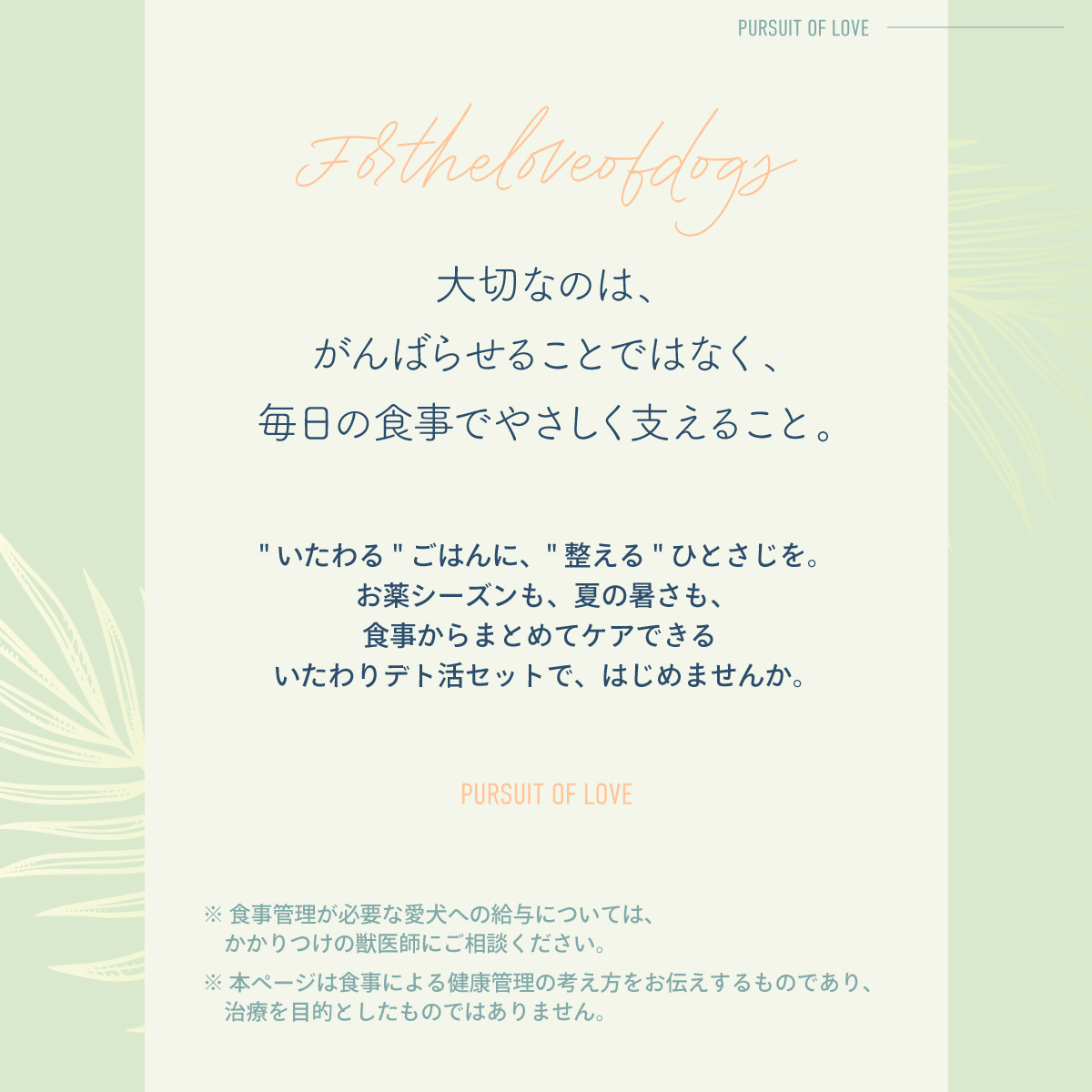 倍々+5倍！最大ポイント26倍！本日限定！（ノベルティー付き