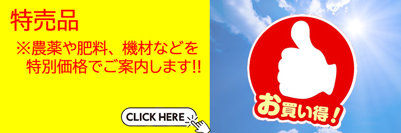 特売品