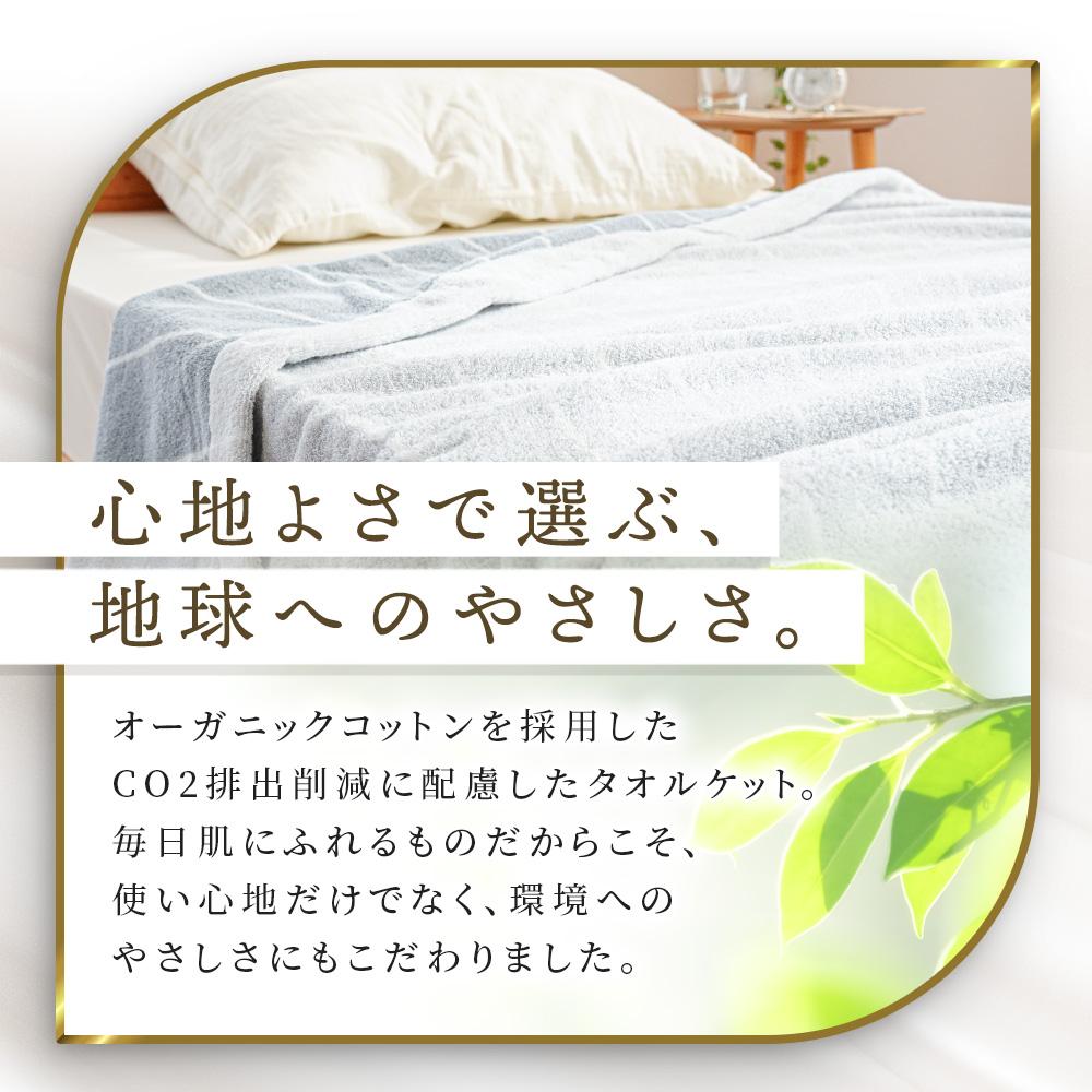 今治タオル（imabari towel） 今治タオルケット シングル 145×190cm 2