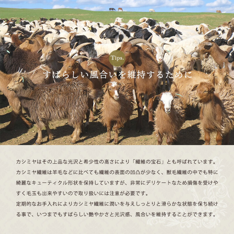 IMPERIAL PLAZA カシミヤ毛布 シングル 西川 日本製 泉大津産 カシミヤ