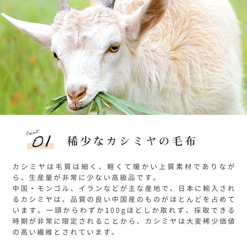 IMPERIAL PLAZA カシミヤ毛布 シングル 西川 日本製 泉大津産 カシミヤ