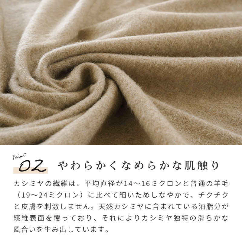 imgrc0092815866.jpg