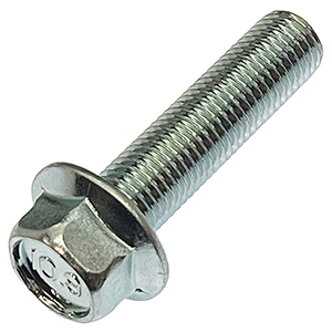 ステンレス 六角穴付 トラスキャップ ボルト M6 x 長さ15mm 2本入