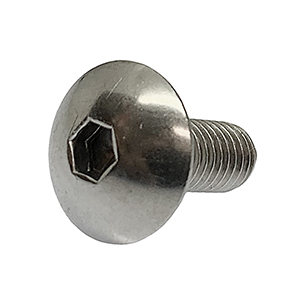 ステンレス 六角穴付 トラスキャップ ボルト M6 x 長さ10mm 2本入