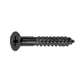 鉄 (+)皿木ねじ 2.4x20 BC(黒) 【10個入】 : ねじねじクンYahoo!店