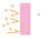 さらに放置