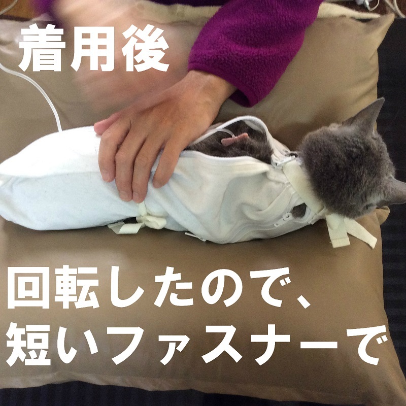 猫　保定クッション　点滴　輸液 楽天市場】猫 保定 袋（介護用品｜猫用品）：ペット・ペット