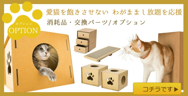 オプション
