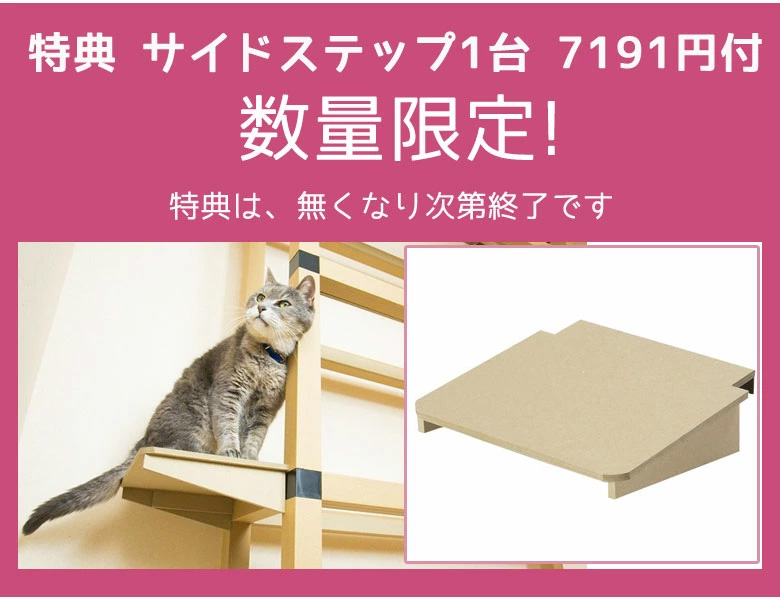 特典