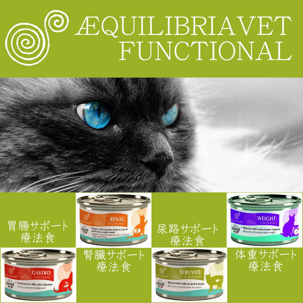 猫ときんときヤフー店 - 猫用療法食シリーズ｜Yahoo!ショッピング