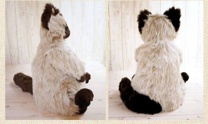 Cuddly（ぬいぐるみ） Cuddly(カドリー） 猫のぬいぐるみ